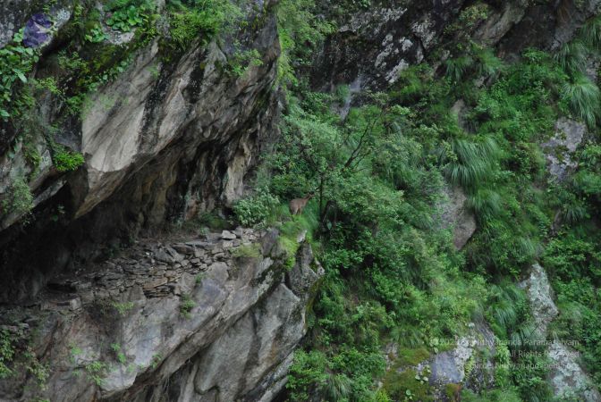 20080702 Photo 1304 1 SzFKvRF1dLSsFogDZNmz6D0N7-pfCDq.JPG