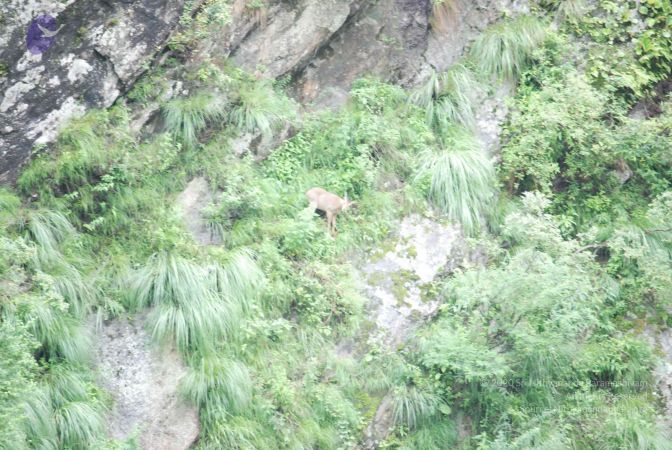 20080702 Photo 1314 1x2OGVZ3SiaAHjD7WqyYrZnVKYsRnni4z.JPG