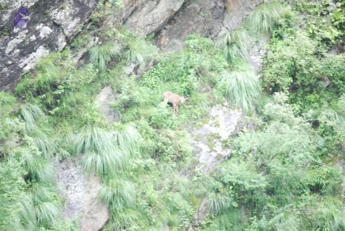 20080702 Photo 1315 1awI5QhI6ZJFkDS80ckbrp9gqXXi52iYe.JPG