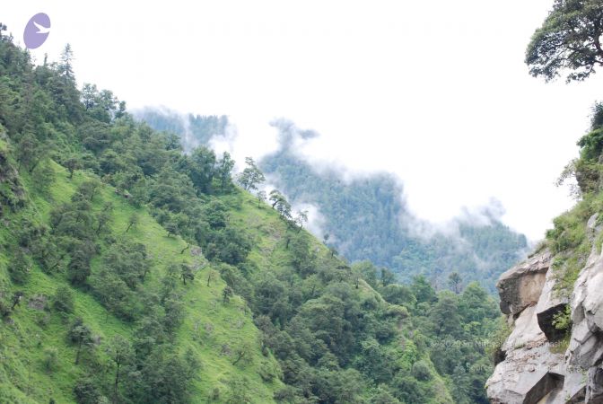 20080702 Photo 1318 1kLPnfhaFR2g9hHNF8yasKwFE8hKNJvTo.JPG