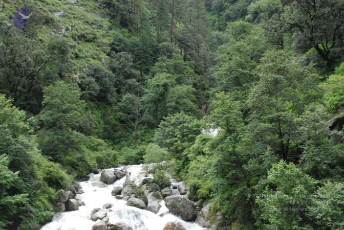 20080702 Photo 1326 14i0k7wMstfHV2QNhpxv20yTVzq2O9K4s.JPG