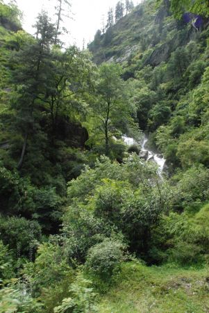 20080702 Photo 1373 1UZmWmDTGCF9XfIzsX6ruSRnFVDUO5O3e.JPG