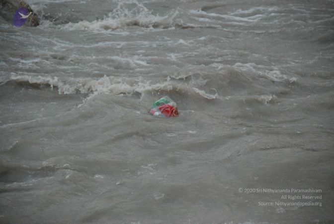 20080703 Photo 1542 1u5UxhM4ZvnAuntDiH87ki8KiR5RRv0v .JPG