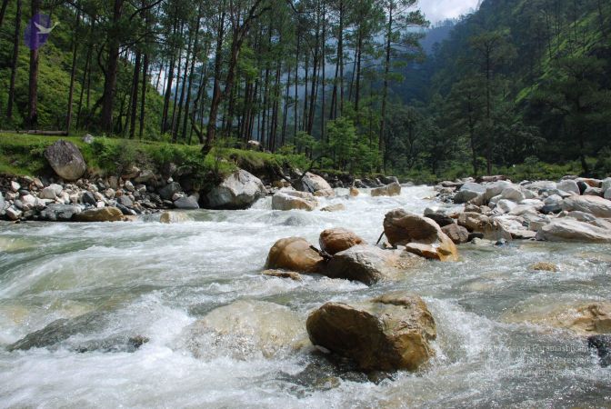 20080703 Photo 2032 1b eXEh5jfqxhHfKW8eYulzvqXoLyl-p .JPG