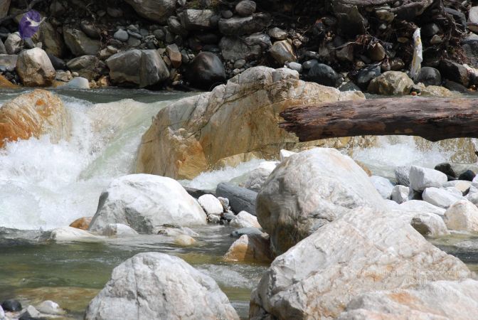 20080703 Photo 2065 1Jg62bVtwhOQQKA p37u2BbL60pkhIytE.JPG