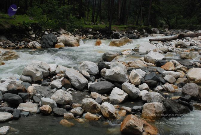 20080703 Photo 2077 1jLPF0xey kfnT4PpgkUMZhyAsaP4sEcJ.JPG