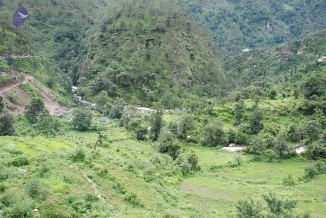 20080707 Photo 1008 13HhXyrp4yfSdC9KzUVV9bjyxrei8se7i.JPG