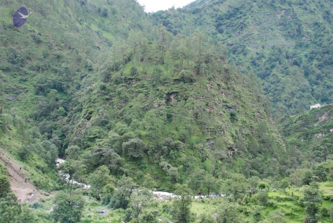 20080707 Photo 1009 1t dNMp7ONzaicKUWd0pEWjqhlWI2pbEg.JPG