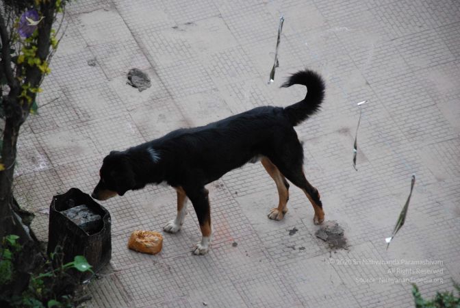 20080707 Photo 1062 1IIFJZ4w~4WQZor38qgldiCwMzCb6cQq.JPG