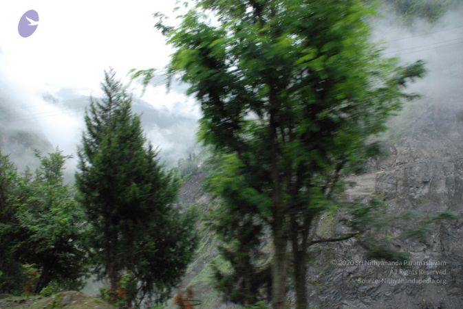 20080707 Photo 1085 1Yu84KJHzVI3W02-BvRfHdXnxEENQh4J6.JPG