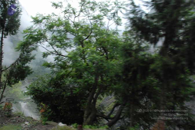 20080707 Photo 1087 1E0PvlVmmsfrCp0Air4y0HsKVBYbyTCLc.JPG