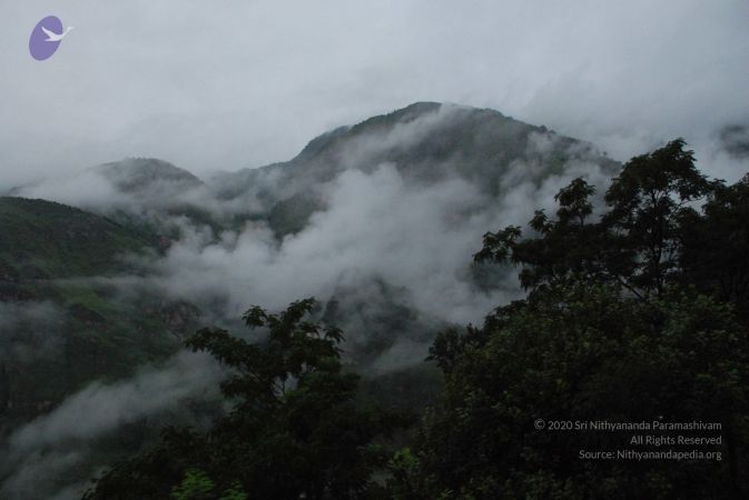 20080707 Photo 1102 1sZT-Gd2fyQ4MerRJrkMAJfaTK-7svHaD.JPG