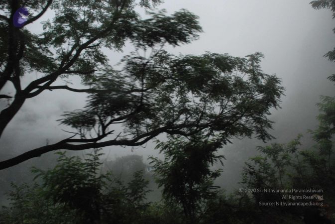 20080707 Photo 1123 1qjLhXTSLkhkssLKYUbNYigxexL8u6Xs8.JPG