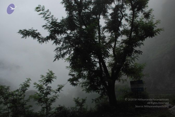 20080707 Photo 1124 1kpgmD4M3VjiP uFUWpUGFcF 5HCl4WUT.JPG