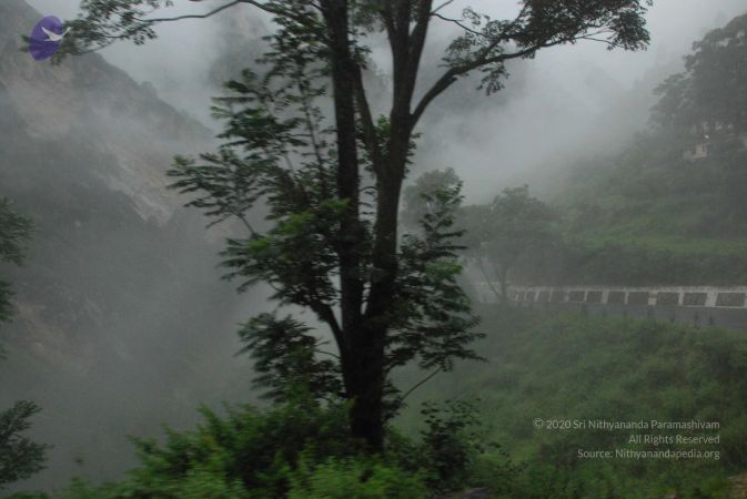 20080707 Photo 1174 1xogt3NRMnZrio5efWo asxlTKQ1tHJuy.JPG