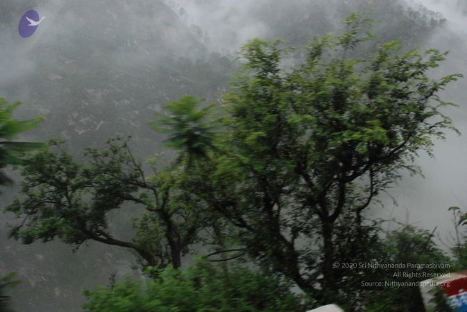 20080707 Photo 1204 18btQya5PAcjq0JECmg-O MJ5jl9EY3PS.JPG