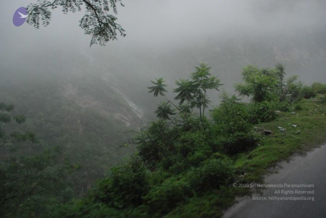 20080707 Photo 1262 145Ykg3uRQzWLvRaavgYObQbGrYXag lp.JPG