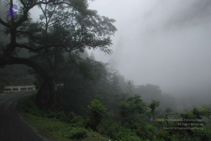 20080707 Photo 1264 1nrid6bLH6yqjV4b1iZdKhRwT5NzoLFrk.JPG