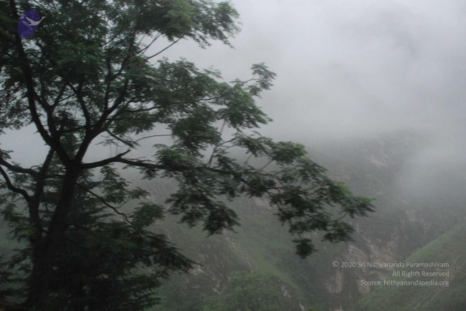 20080707 Photo 1267 1Nc3MXb2CWq5a6OkEzlGH6V3PFp1sIl E.JPG