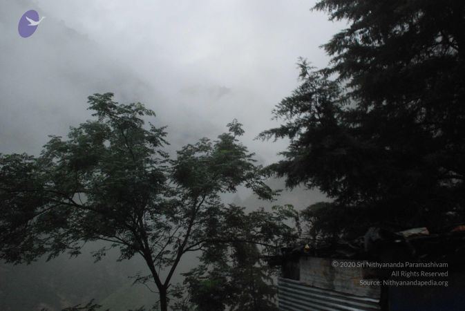 20080707 Photo 1269 1EcH2ilxvViGO4LL5otl7aRUHBhJ2thWf.JPG