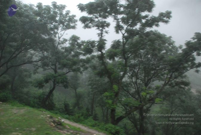 20080707 Photo 1272 1scS9gZHg1XP3RLqvlIK77S8u9fn8scZk.JPG