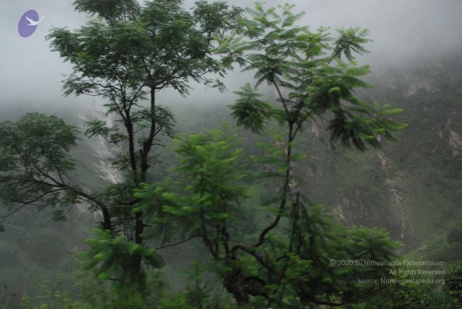 20080707 Photo 1276 1ENWmJfJmACHKI-z3AbJck-gdmAziUo 9.JPG