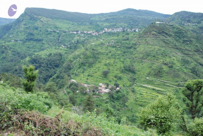 20080707 Photo 1285 1JbuD6yaYVL TwycoaX1EBvXHzbWLTUvP.JPG