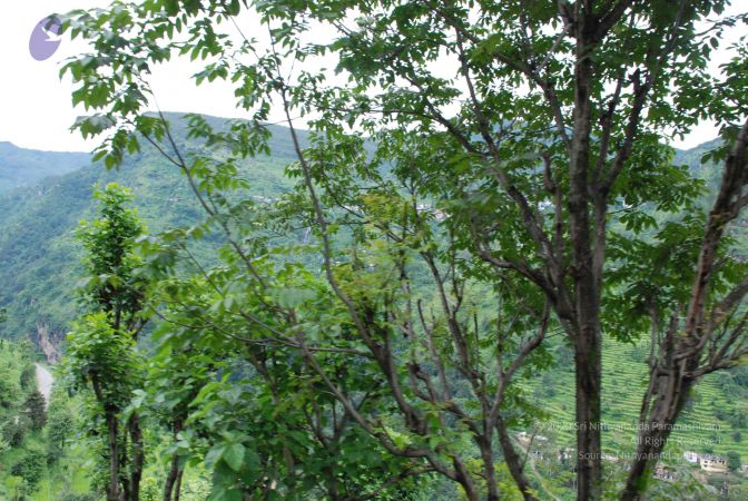 20080707 Photo 1289 1yLTXseWapTeED491nBEuuOOQSU2Ig97o.JPG