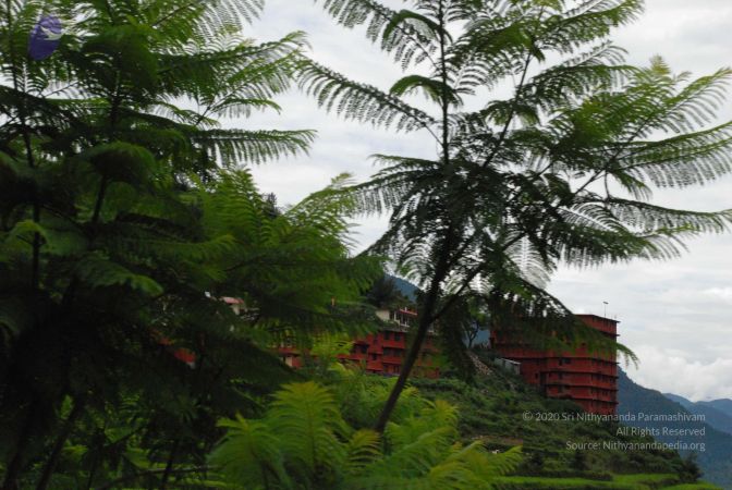 20080707 Photo 1304 1hbTe9V1ZGASipYPRhaOyN77h3DZOLqFp.JPG