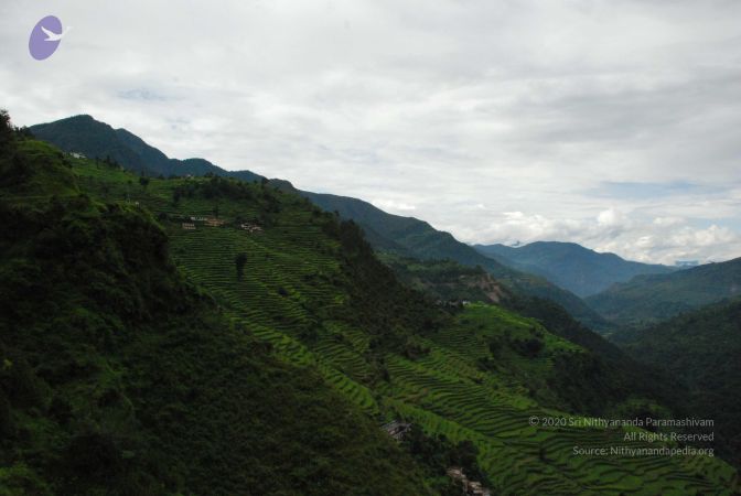 20080707 Photo 1318 1trekCdoAMvZi-rEtsjooAM31CZKFWyKw.JPG