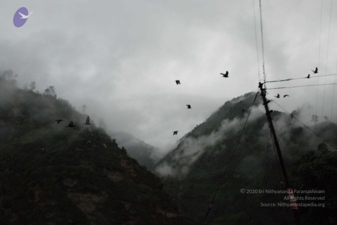 20080707 Photo 1324 1p4mwovebPWgMoGDg8fSvi7yRCljc9Ulq.JPG