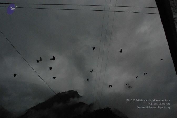 20080707 Photo 1325 1l8kfP9gVzKAXf lXryZ7TAN8Jv8l90Nt.JPG