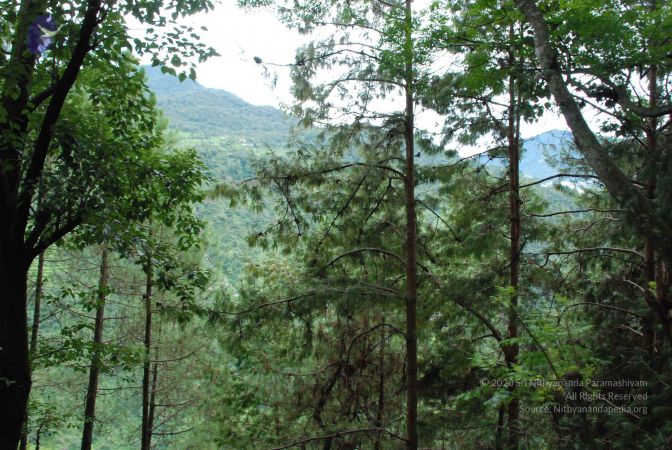 20080707 Photo 1343 1KjosJ6HH1uRUtu50wXSWSdavqlbrGIiK.JPG