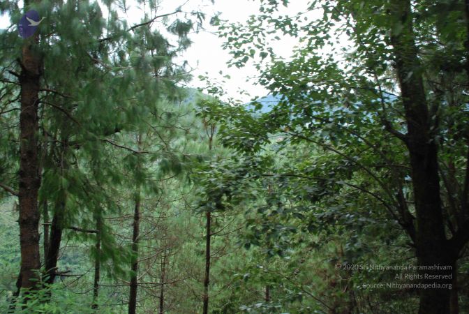 20080707 Photo 1344 1XzNd32A9qWSSnmuPMUdV7Qk-t3mPb3JV.JPG