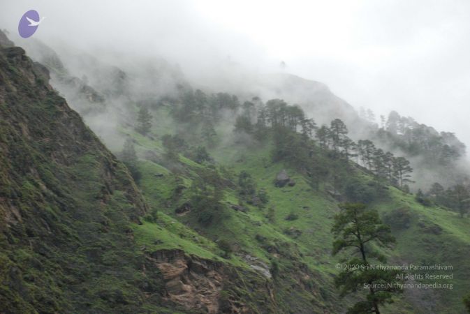 20080707 Photo 1362 1rUNxaZ n8q5GHHcROE2kwpMjVmk9LNlg.JPG