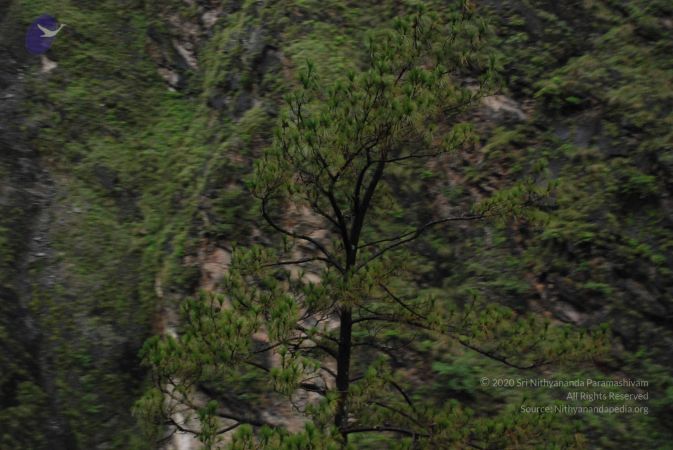 20080707 Photo 1365 1D668Pq VqGZr64Qac6utOprII5Zd-q04.JPG