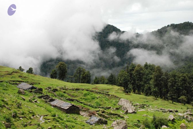 20080707 Photo 1368 1bZv2bJYqJACpwIlHr0ACKIhSFV5WmSjZ.JPG