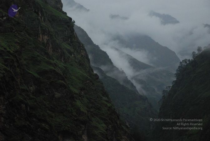 20080707 Photo 1380 1B03mXE51UzrbEWL8ccLZfxXvCRdYT j8.JPG