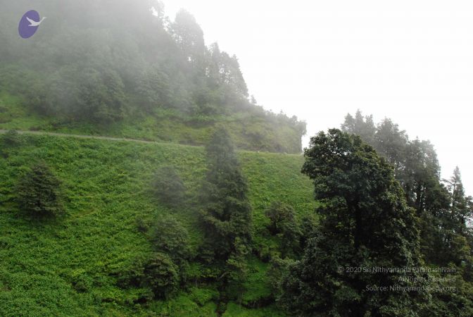 20080707 Photo 1387 1D6eFx3WPAE1OzqHNMuzF MNW3e6lBnUK.JPG