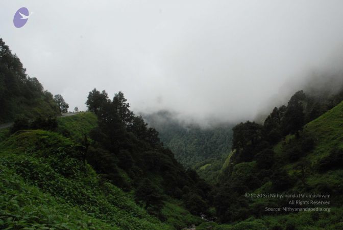 20080707 Photo 1395 1khZlrG99yALWh3xtjVsoIG7 RCeey5Bm.JPG