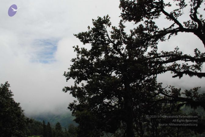 20080707 Photo 1398 1lPiYsePoFBgB8CcDxu3wFav B-b5xYE5.JPG