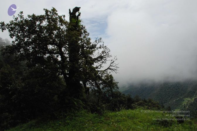 20080707 Photo 1401 1qv4ZuJC2NklXjqvWmXBeoEpct5818JRn.JPG