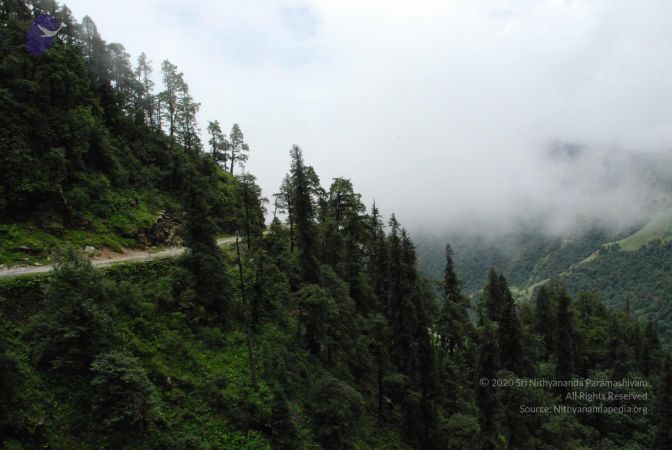 20080707 Photo 1404 1lRPnF4x2lF42VZ7IHPvPR4KkVjcJmhT9.JPG