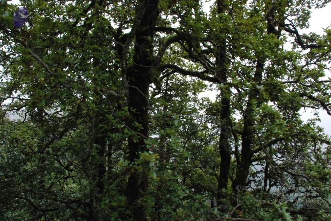 20080707 Photo 1410 1pnHcNmBnMVyYfvSnJYPCo8PIqwE6XSHb.JPG