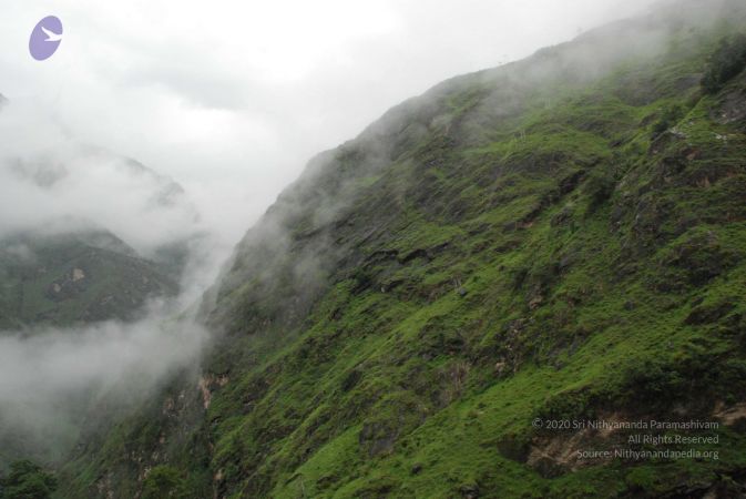 20080707 Photo 1420 1YFiNrgZSku4as5hbLe96SWHSg0k1jWMz.JPG