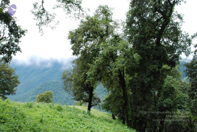 20080707 Photo 1421 1mMllqjwCqr7KVmugnjZ1-MrbcdopFfFG.JPG