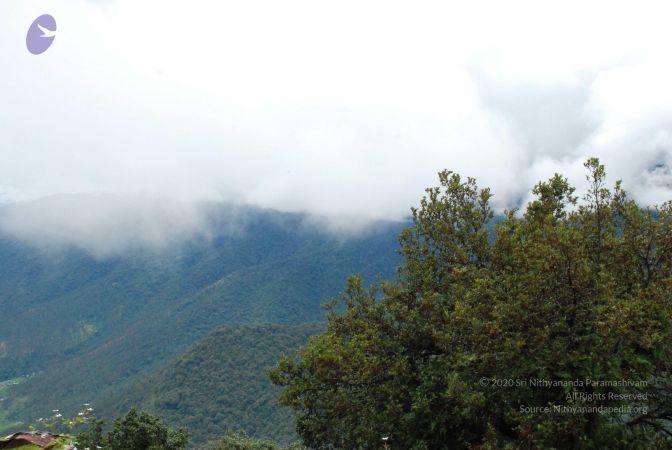 20080707 Photo 1427 19S1e102oXHK54 YBUMf5uLiXNE9E8lXZ.JPG