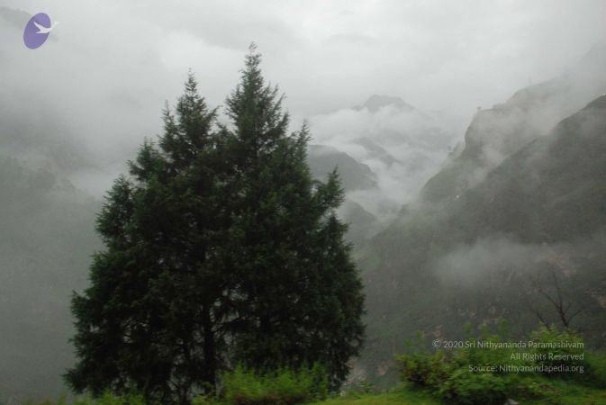 20080707 Photo 1436 183S5UqRqnWyt3RS4WU-O SVrNt92yQZb.JPG