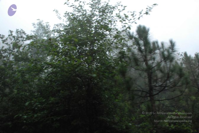 20080707 Photo 1458 13CtOA d6xenQqOR3F5Ki9AnAjGakabwK.JPG