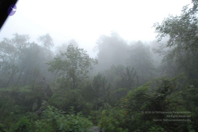 20080707 Photo 1460 1uKYZl3cBCjK-lSfBircKxd-G-bDk8lWU.JPG